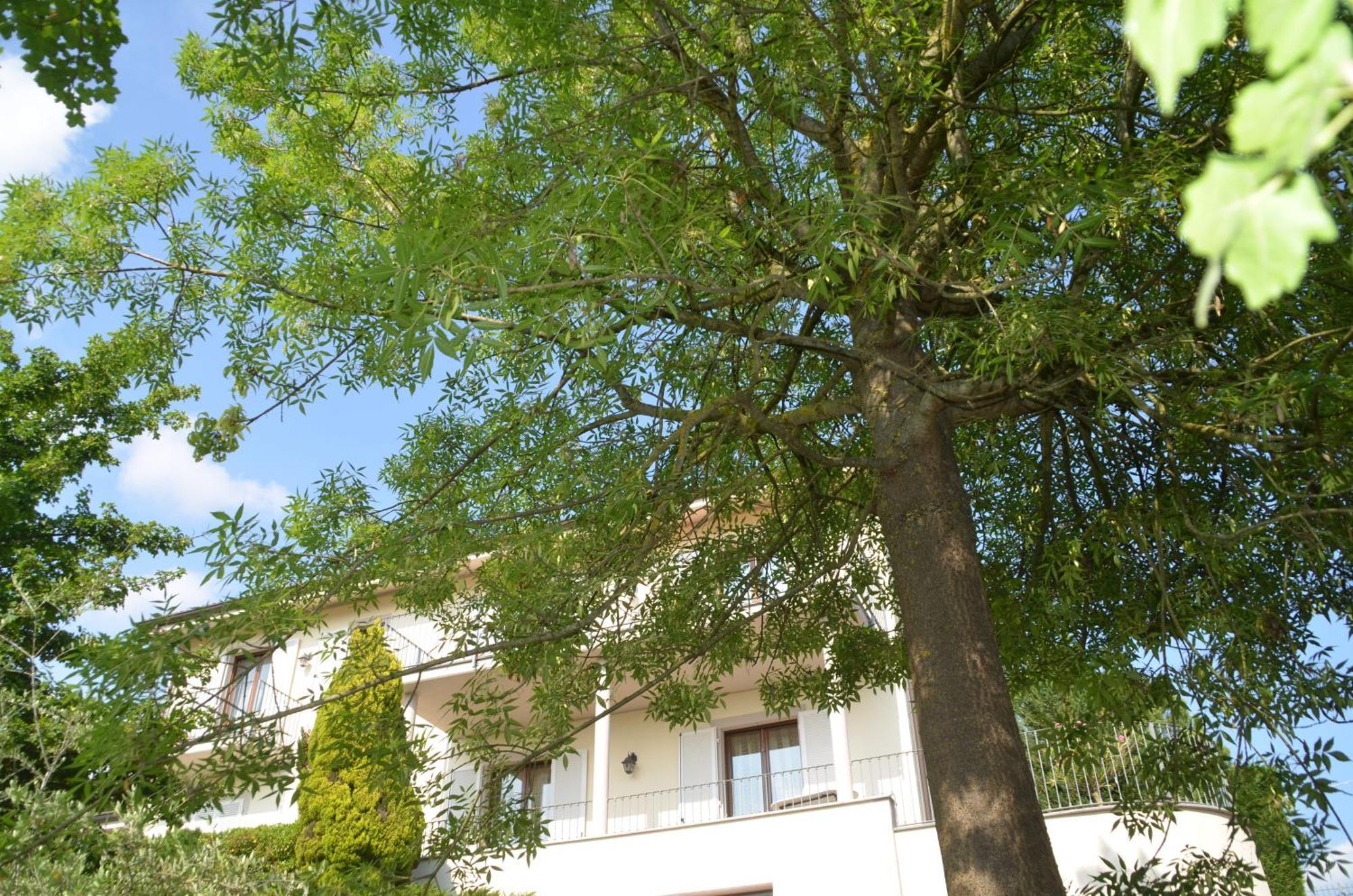 Villa Patrizia Moncalvo Buitenkant foto